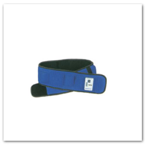 Manufacturers Exporters and Wholesale Suppliers of Tiens Weight Reducing Belt Delhi Delhi